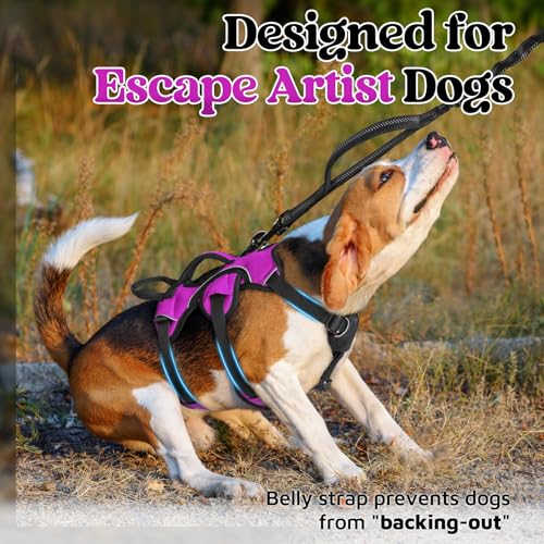 Escape Proof Dog Harness for Small (Purple / Small)