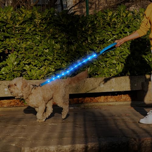 LED Dog Leash (BlueⅡ)
