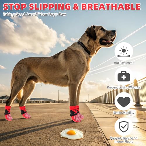 Dog Socks Shoes for Hot Pavement (Red&Black / Medium(4 Pack))