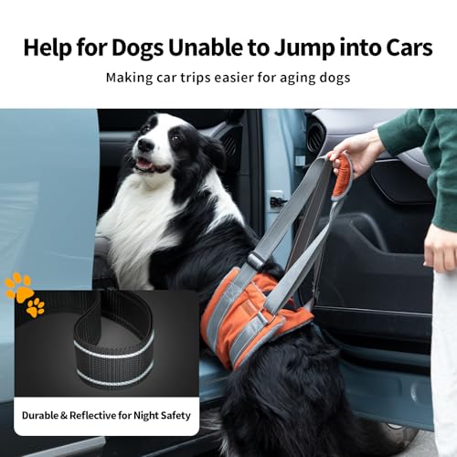 Dog Lift Harness (XL / Brown)