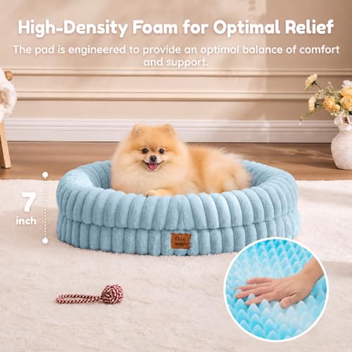 Orthopedic Dog Bed (Light Blue / M(30*24*7))