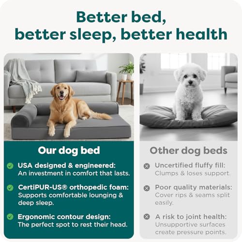 Orthopedic Dog Bed for Large Dogs (Jumbo / Platinum Gray)