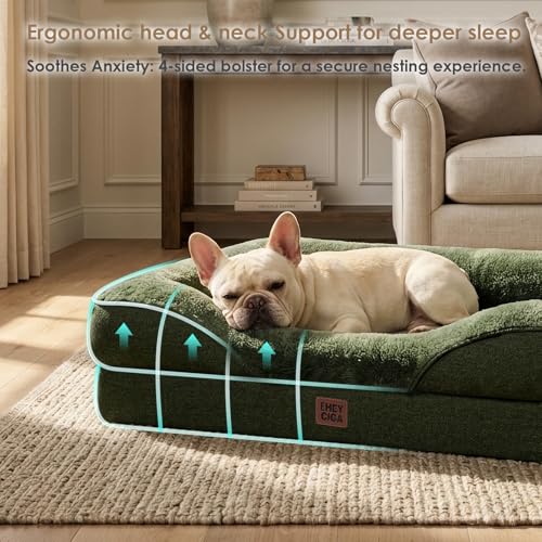 Orthopedic XL Dog Bed for Large Dog (Dark green / 48x35x7.5)