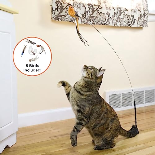 Interactive Bird Simulation Cat Toy Set (Bird Toy Set with 5 Birds)