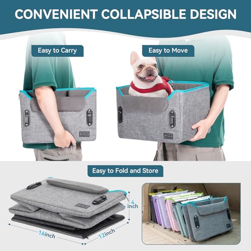 Dog Car Seats for Small Dogs
