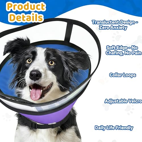 Dog Cone Collar for Medium Large Dogs (M - Neck Girth:12" - 15.7")