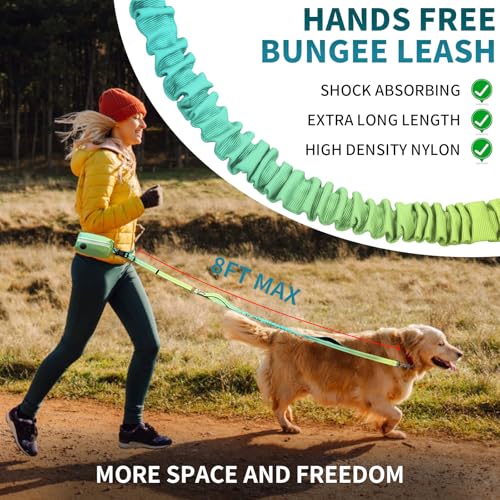 Waist Running Bungee Hands Free Dog Leash with Zipper Pouch for Walking Jogging Hiking