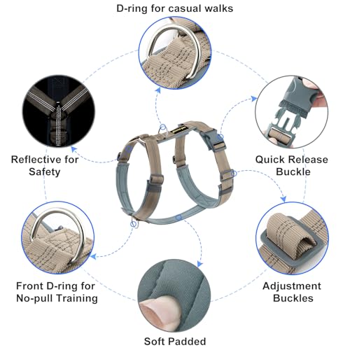 No Pull Dog Harness (XS / Beige)