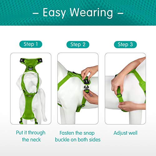 Mesh Dog Harness (L / Grass Green)