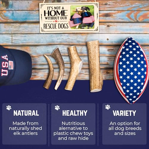 Whole Elk Antlers for Dogs (WHOLE - Large - 1 Pack)
