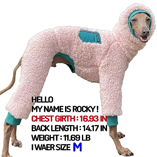 D Doggy Star Italian Greyhound Sweater Turtleneck Outfit Warm Fleece Onesie Clothes Whippet for Dog Coat (XL / Green Pocket)