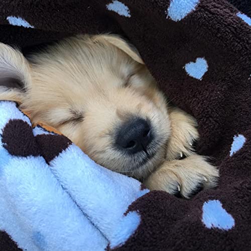 Snuggle Puppy Essentials Starter Kit (Blue)