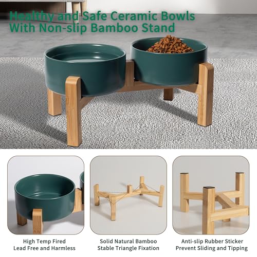 Elevated Ceramic Dog Bowl (Green / Medium)