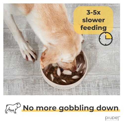 Slow Feeder Dog Bowl (13 fl oz)