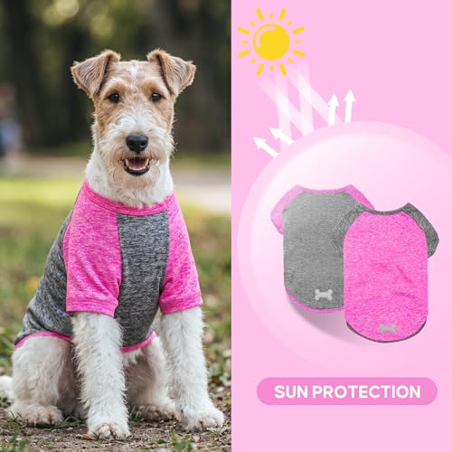 2Pack Dog Shirt for Small Dogs Sun Protection Tank Top with Sleeves (Large (13-19lbs) / 3# 2Pack(Rose+Grey))