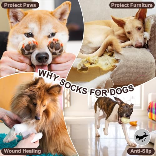 Anti Slip Dog Socks (Medium (6 Count) / Ice Cream)