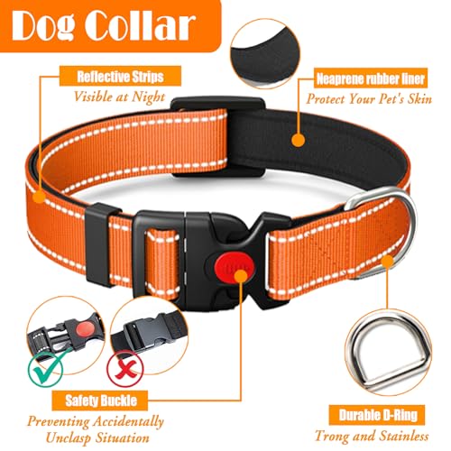 No Pull Dog Harness (Large / Orange)