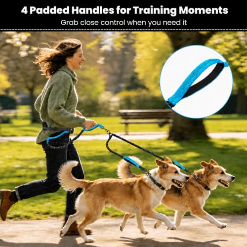 Hands Free Double Dog Leash (Black)