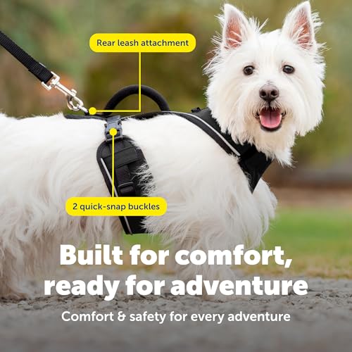 EasySport Dog Harness (Small / Black)