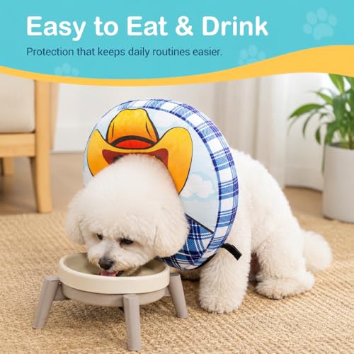 Inflatable Cowboy Dog Cone Collar (M(Neck 9.5"-11.8"))