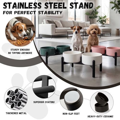 Raised Ceramic Dog Bowl Set with Stand (White / 2 Bowls - 3.5 Cups Each)