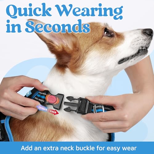 Dog Harness Medium Sized (Black & Blue / Medium)