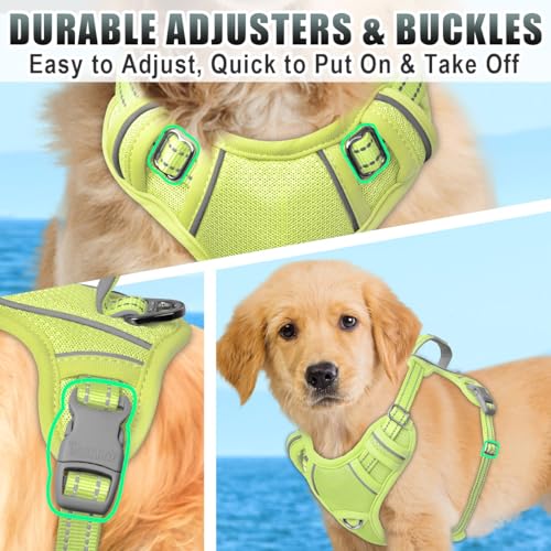 Dog Harness for Small Sized Dog No Pull Dog Vest ID Tag Pocket (Sunlight / Small)