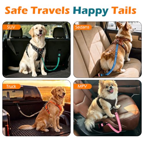 Dog Seat Belt for Car (Turquoise / 1 Pack)