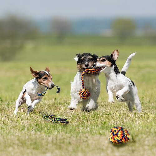 Puppy Teething Toys for Small Dogs (5 Pack / Small)