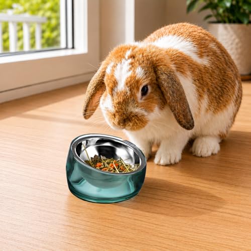Oblik 15° Tilted Small Animal Bowls for Pet Food & Water 6 oz Stainless Steel Dish Removable (Classic / Mini Pet)
