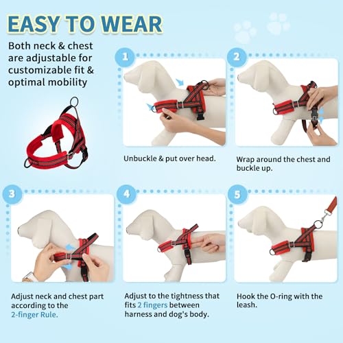 No Pull Small Dog Harness and Leash Set with Front Clip (Small / Red)