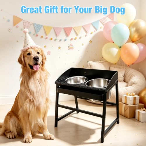 15" Tilted Elevated Dog Bowl