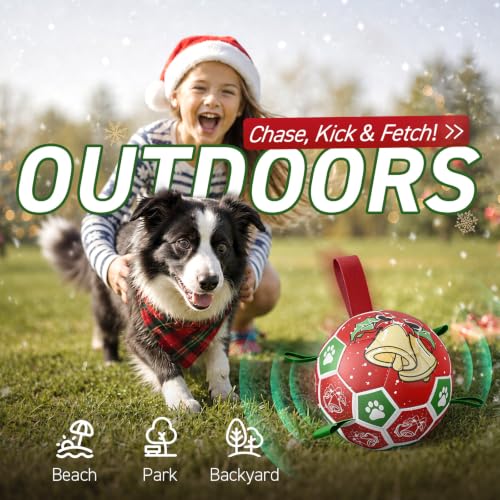 Christmas Dog Balls with Straps (Christmas 2 / 8 Inch)