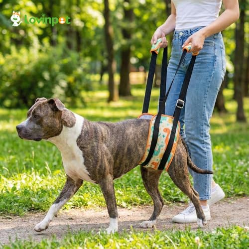 Dog Lift Harness Rear Support Sling (Orange)