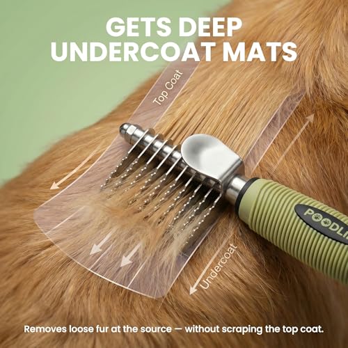 Poodle Dematting Fur Rake Comb Brush for Dogs and Cats (Green / Dematting Comb)