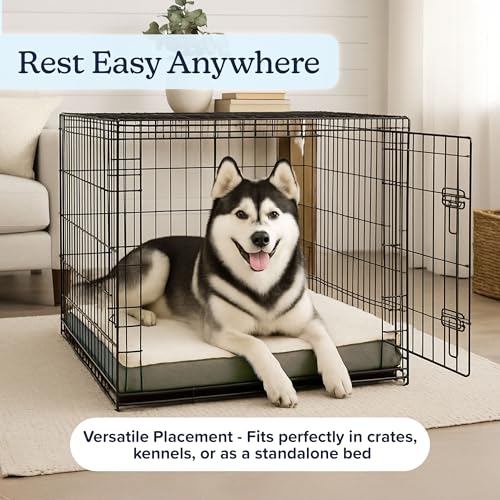 Orthopedic Dog Bed (Gray / X-Large)