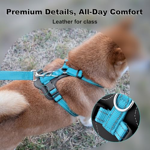No Pull Dog Harness with Leather Accents (M / Light Blue)