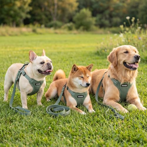 Voyager Adjustable Step (Harness Leash Set (Moss Green) / XL)