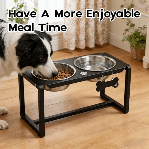Metal Elevated Dog Bowls (10" | M/L Dogs | 2×58oz Bowls)