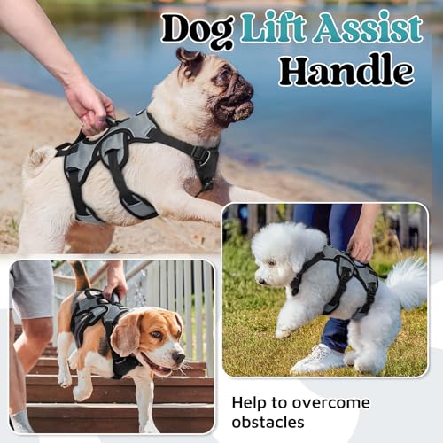 Escape Proof Dog Harness for Small (Grey / Small)