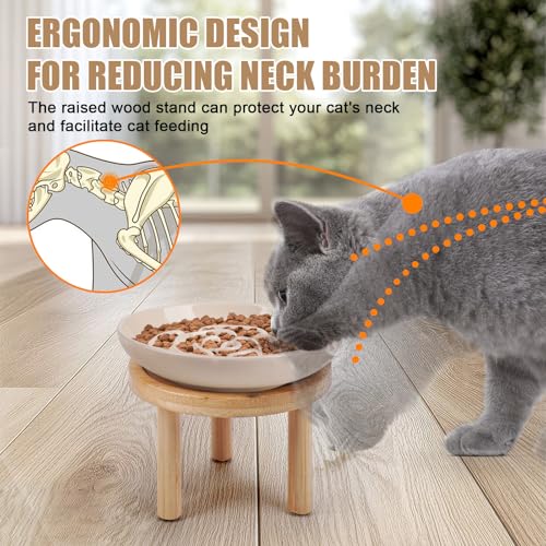 Elevated Slow Feeder Cat Bowls (apricot)