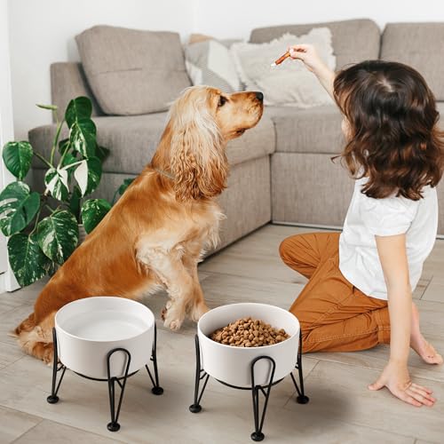Elevated Dog Bowls (White / 7.6 Cups | 2 Pack | For Large Dogs)