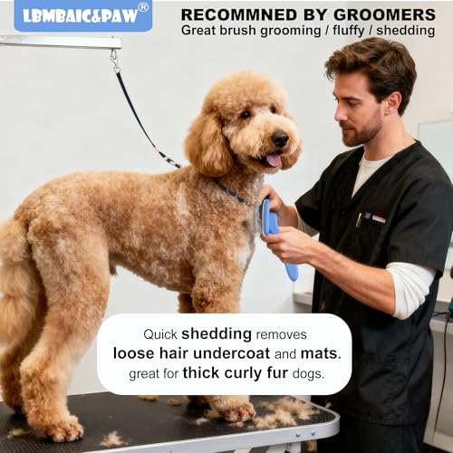 Dog Brush for Poodles (Blue)