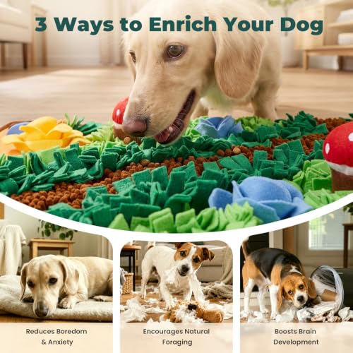 Snuffle Mat for Dogs (Mushroom / 29.9"L x 21.3"W)
