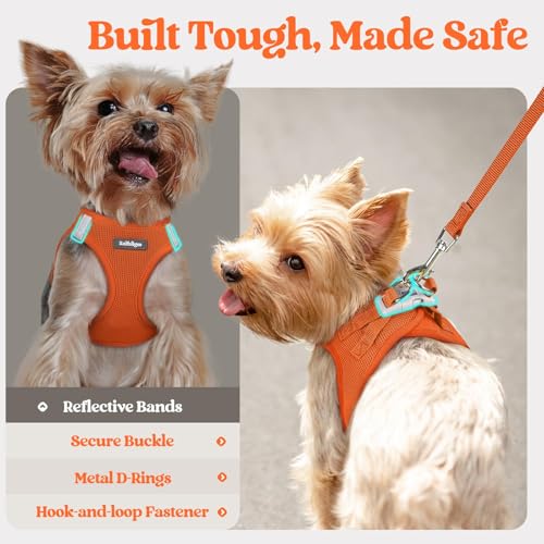Dog Harness Small Sized and Leash Set (Orange / Xxxs (chest: 10.8 - 11.8"))