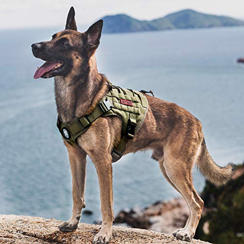 Tactical Dog Harness with Handle No (X-Small / Green)