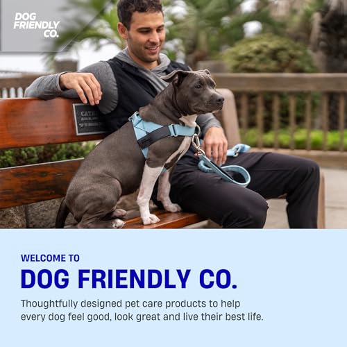 Bungee Dog Leash (Burgundy / Regular)