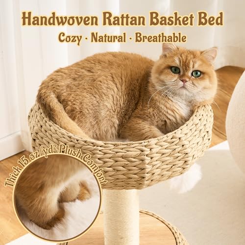 Modern Cat Tree for Indoor Small & Medium Cats (Natural-30")