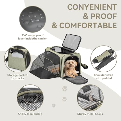 Medium Expandable Cat Carrier for Air Travel (17.0"L x 11.0"W x 11.0"H / Green)