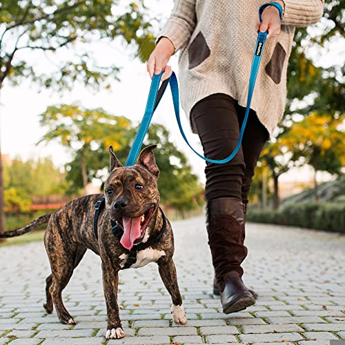 4FT Heavy Duty Dog Leash with Soft Padded Double Handle (4 FT x 1 in Wide / Blue)